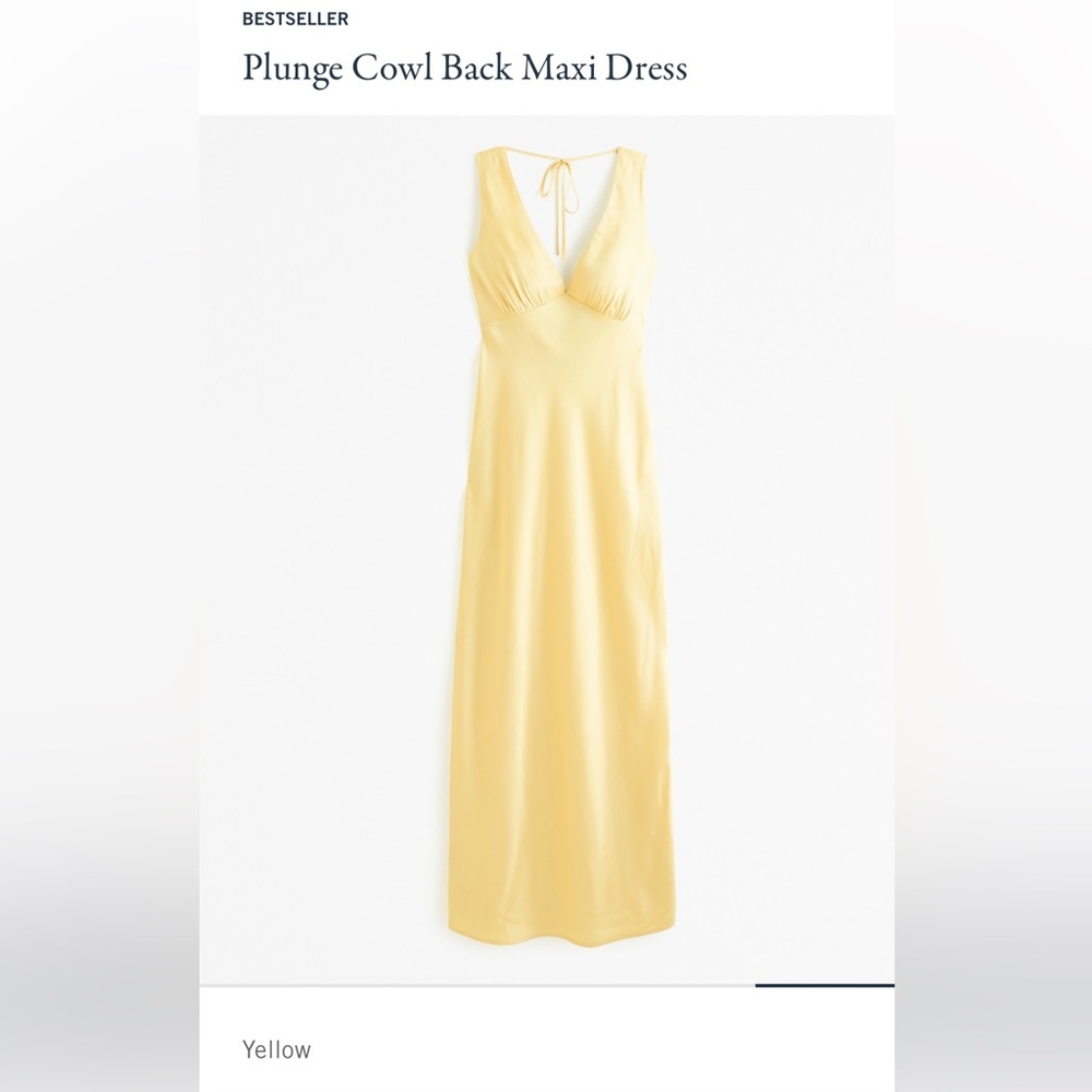 Abercrombie Plunge Cowl Back Maxi Dress - XS